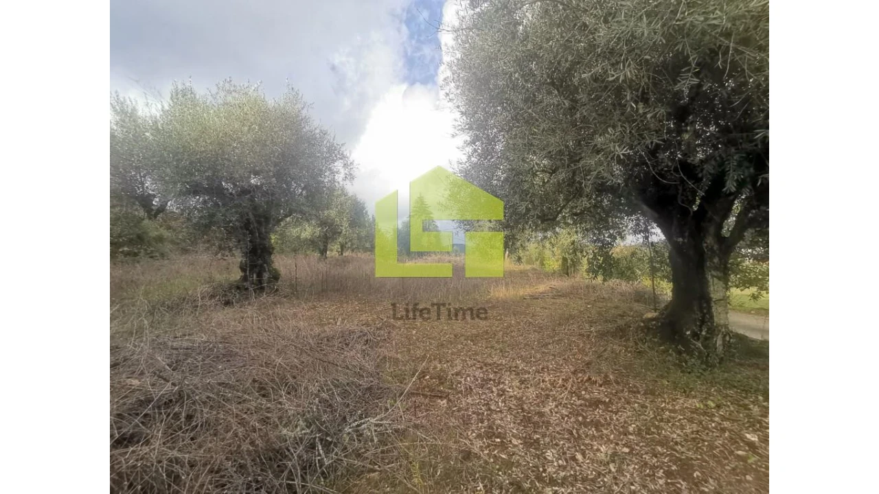 Terreno para Venda em Podentes Foto 20