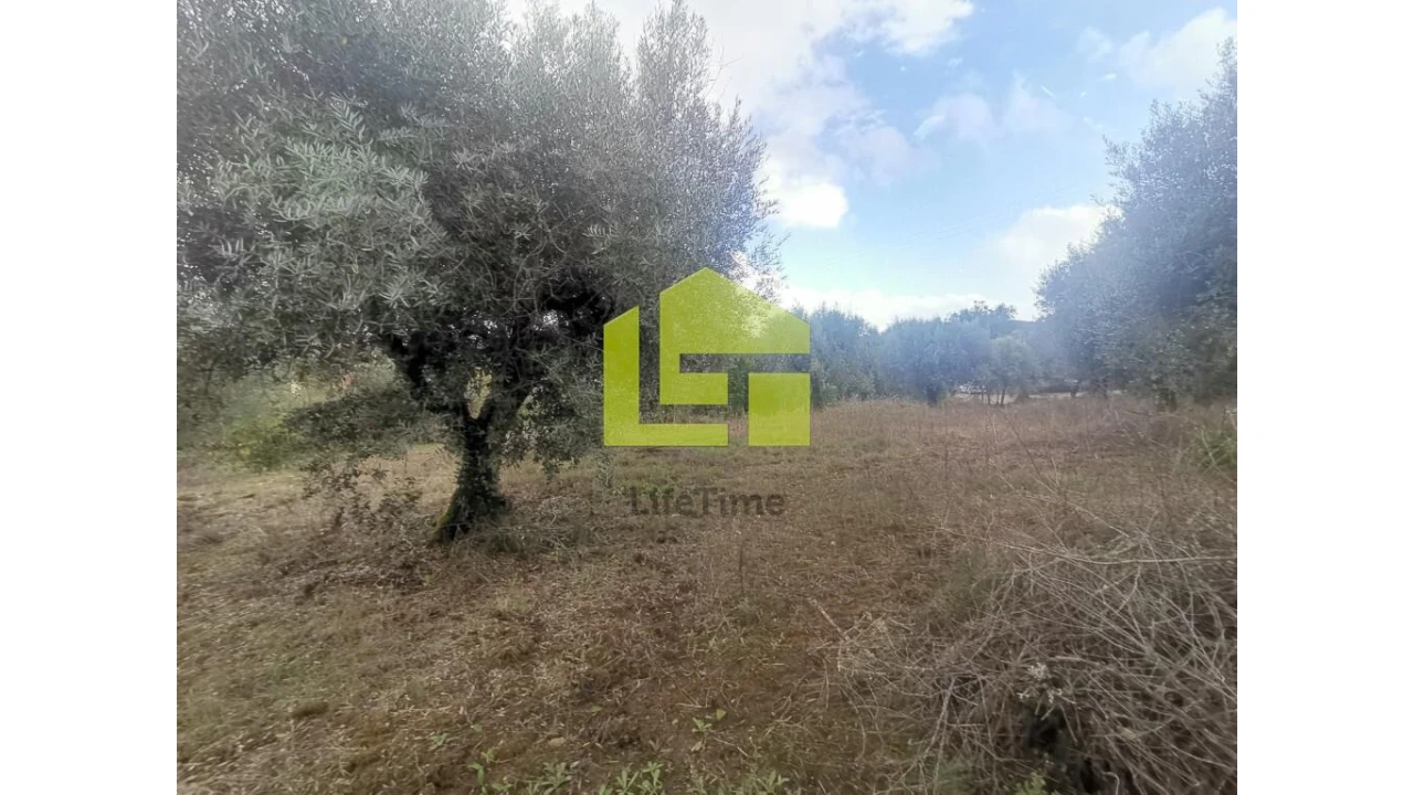 Terreno para Venda em Podentes Foto 9