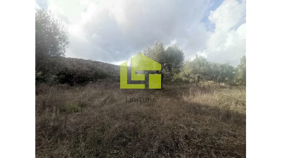 Terreno para Venda em Podentes Foto 18