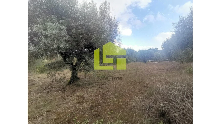 Terreno para Venda em Podentes Foto 9