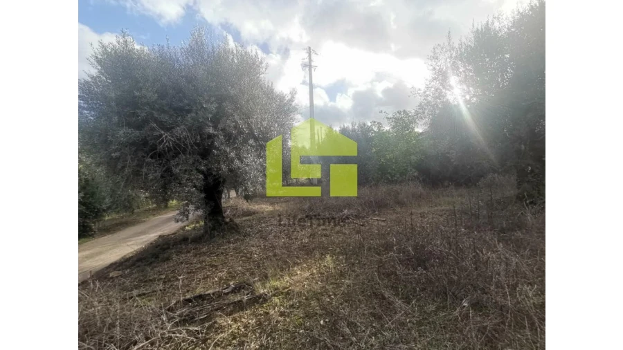 Terreno para Venda em Podentes Foto 17