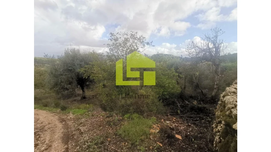 Terreno para Venda em Podentes Foto 7