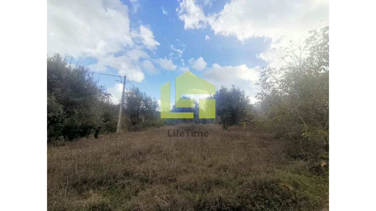 Terreno para Venda em Podentes Foto 10