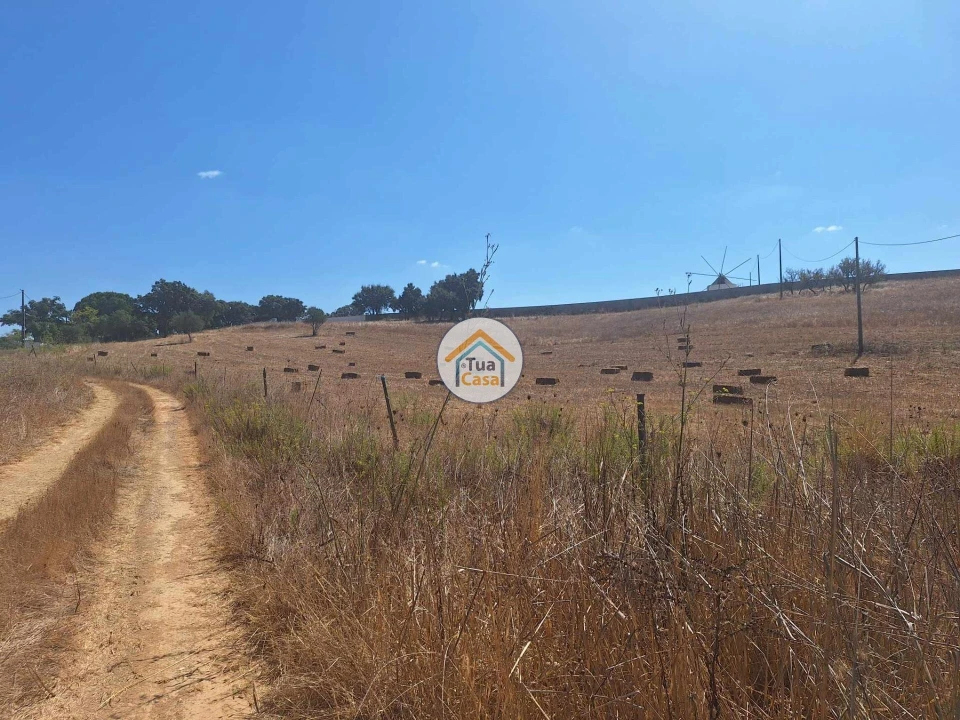 Terreno para Venda em Garvão e Santa Luzia Foto 15