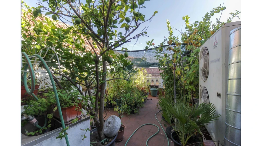 Prédio para Venda em Marvila, Ribeira Santarém, São Salvador, São Nicolau Foto 21