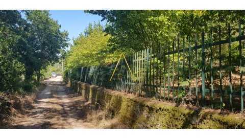 Terreno para Venda em São Cipriano e Vil de Souto