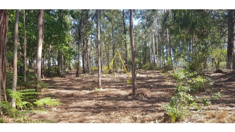 Terreno para Venda em São Cipriano e Vil de Souto