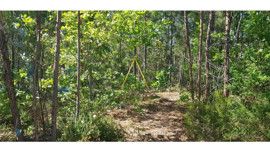 Terreno para Venda em São Cipriano e Vil de Souto Foto 5