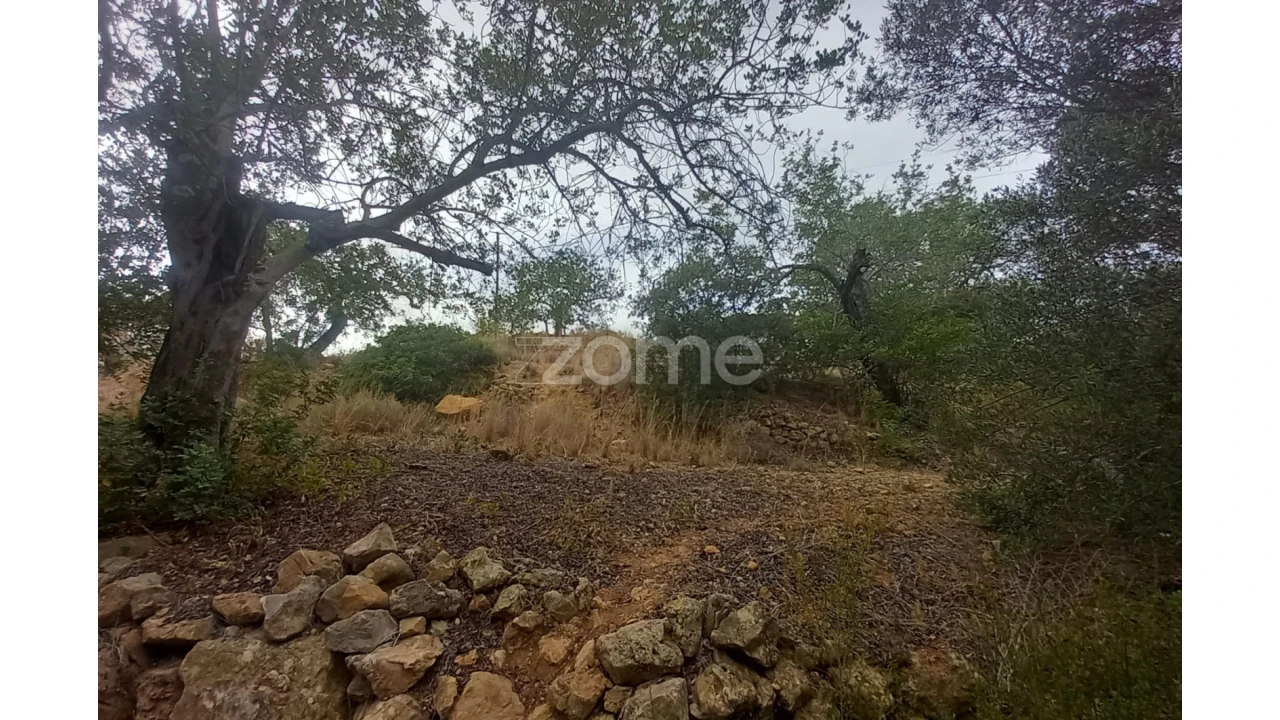 Moradia T3 para Venda em Conceição e Estoi Foto 3