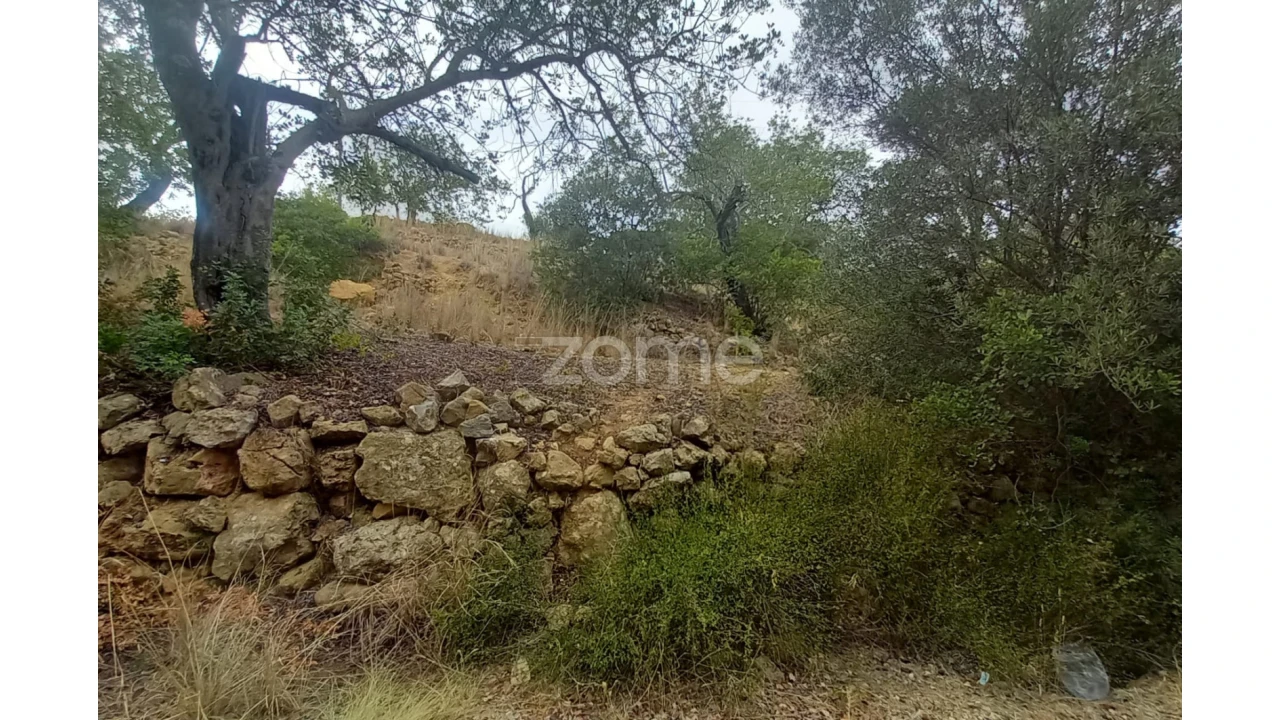 Moradia T3 para Venda em Conceição e Estoi Foto 5