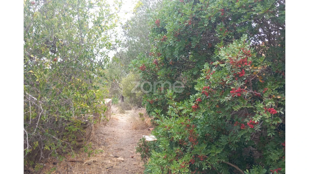 Moradia T3 para Venda em Conceição e Estoi Foto 36