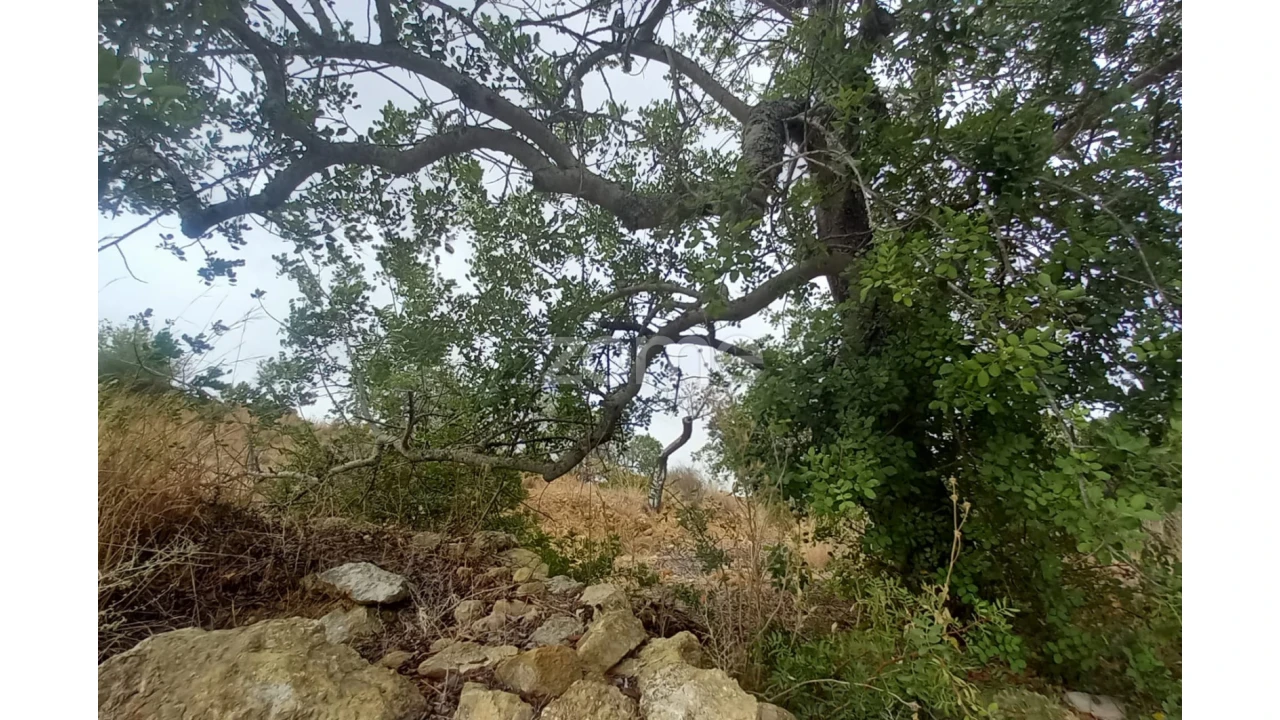 Moradia T3 para Venda em Conceição e Estoi Foto 8