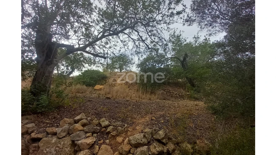 Moradia T3 para Venda em Conceição e Estoi Foto 3