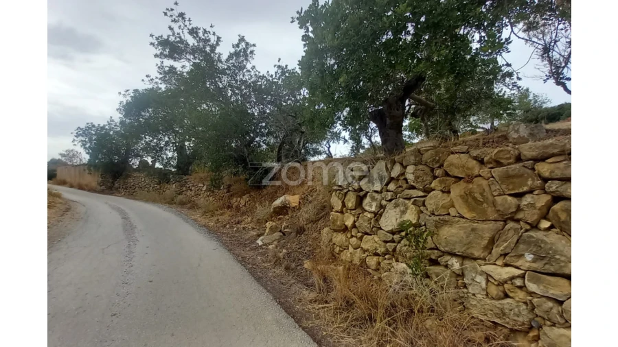 Moradia T3 para Venda em Conceição e Estoi Foto 9