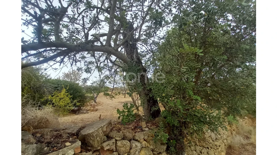 Moradia T3 para Venda em Conceição e Estoi Foto 12