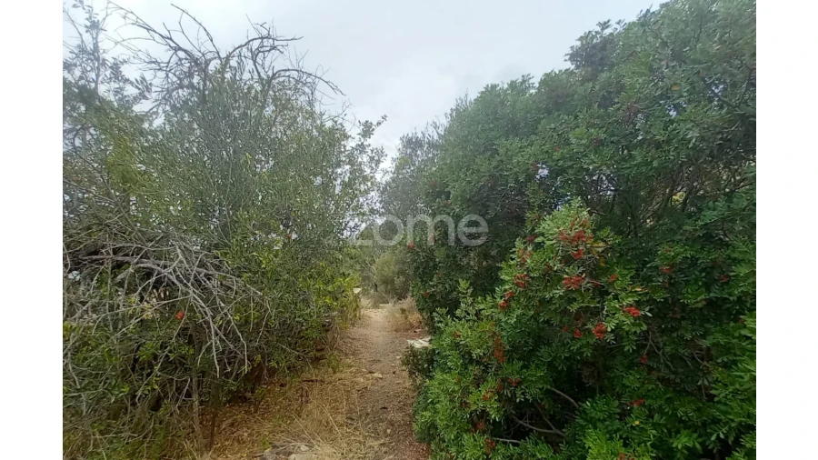 Moradia T3 para Venda em Conceição e Estoi Foto 39