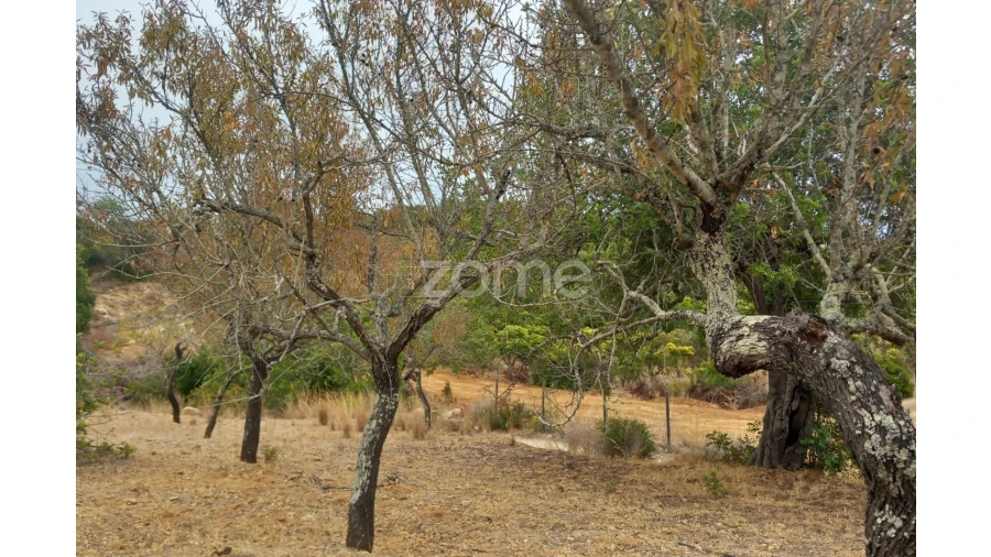 Moradia T3 para Venda em Conceição e Estoi Foto 46