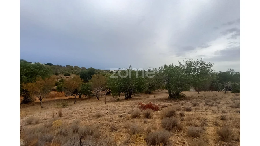 Moradia T3 para Venda em Conceição e Estoi Foto 48