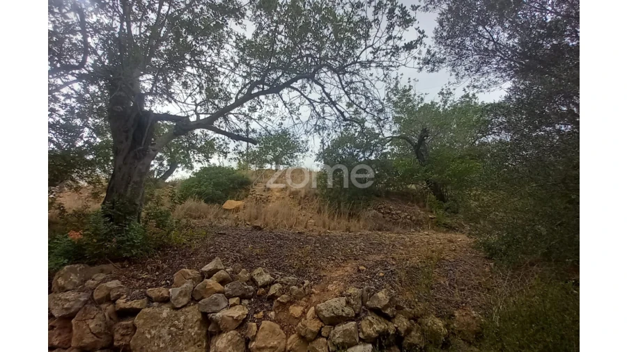 Moradia T3 para Venda em Conceição e Estoi Foto 6