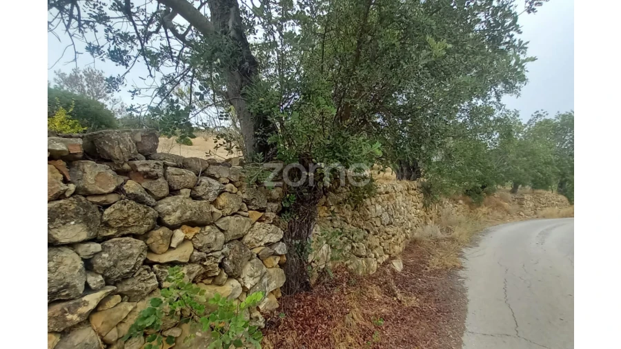 Moradia T3 para Venda em Conceição e Estoi Foto 16