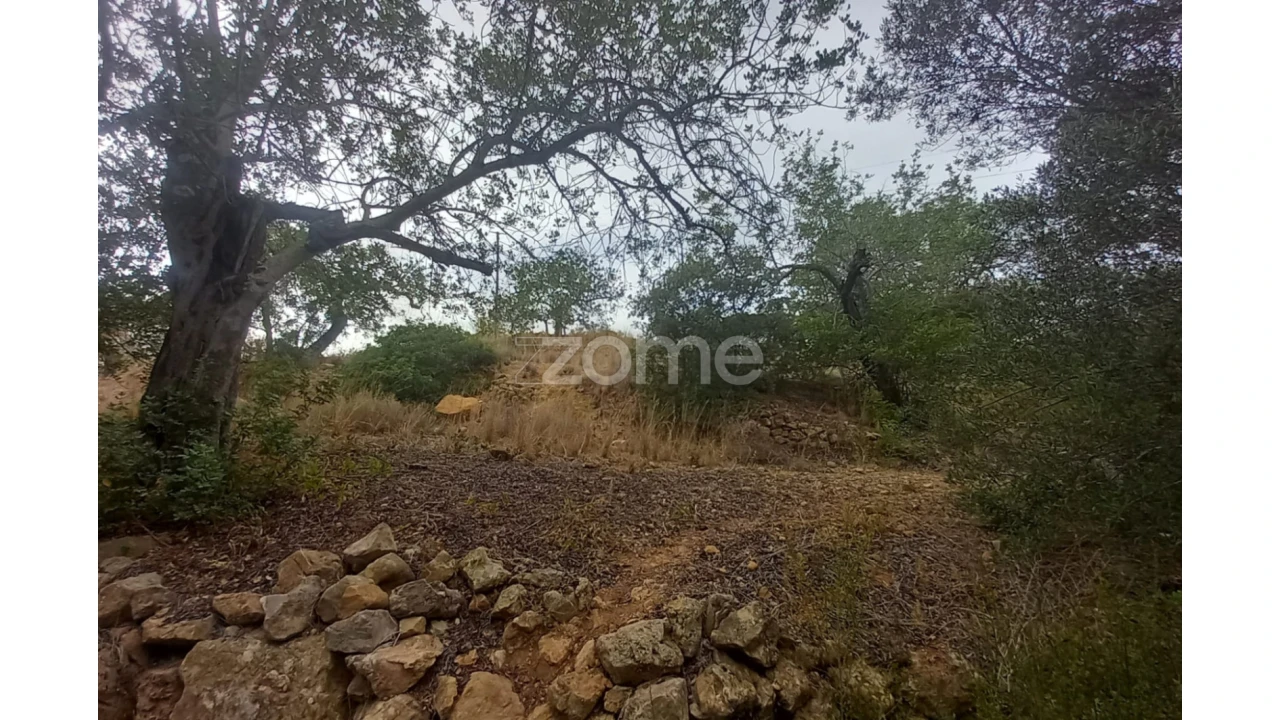 Quinta T5 para Venda em Conceição e Estoi Foto 3