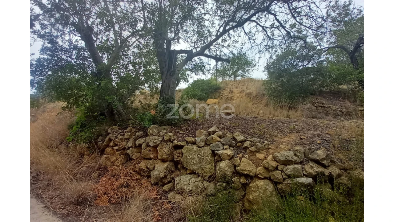Quinta T5 para Venda em Conceição e Estoi Foto 4
