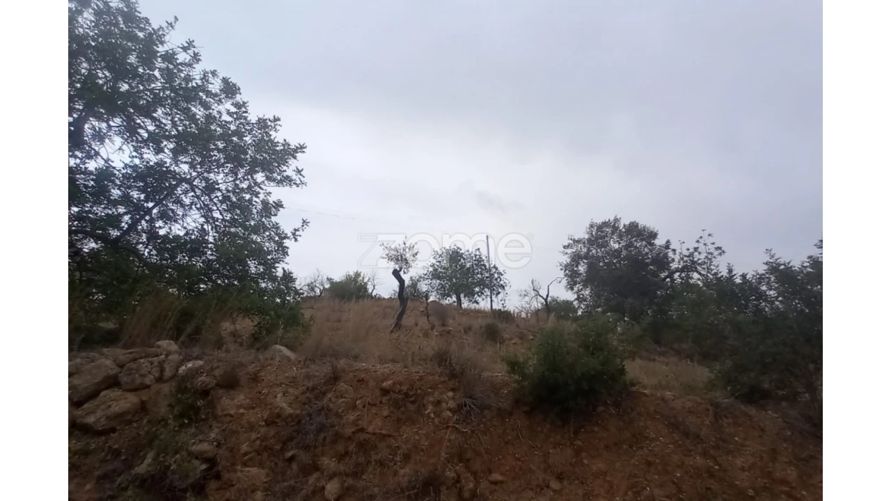 Quinta T5 para Venda em Conceição e Estoi Foto 8