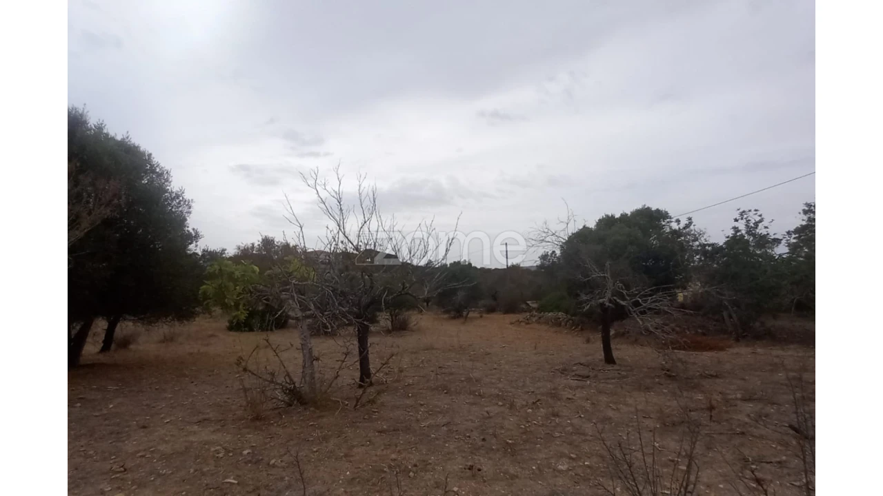 Quinta T5 para Venda em Conceição e Estoi Foto 37