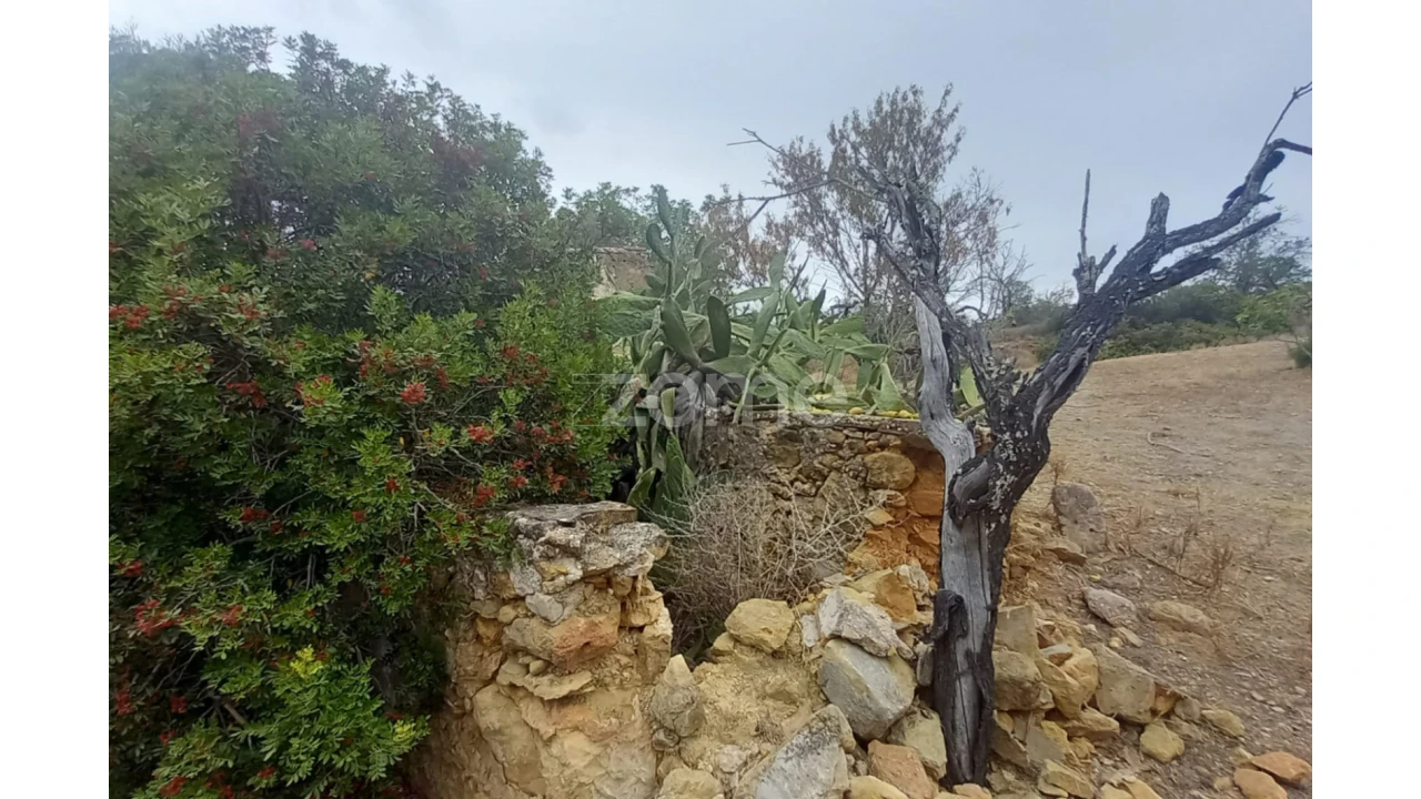 Quinta T5 para Venda em Conceição e Estoi Foto 51