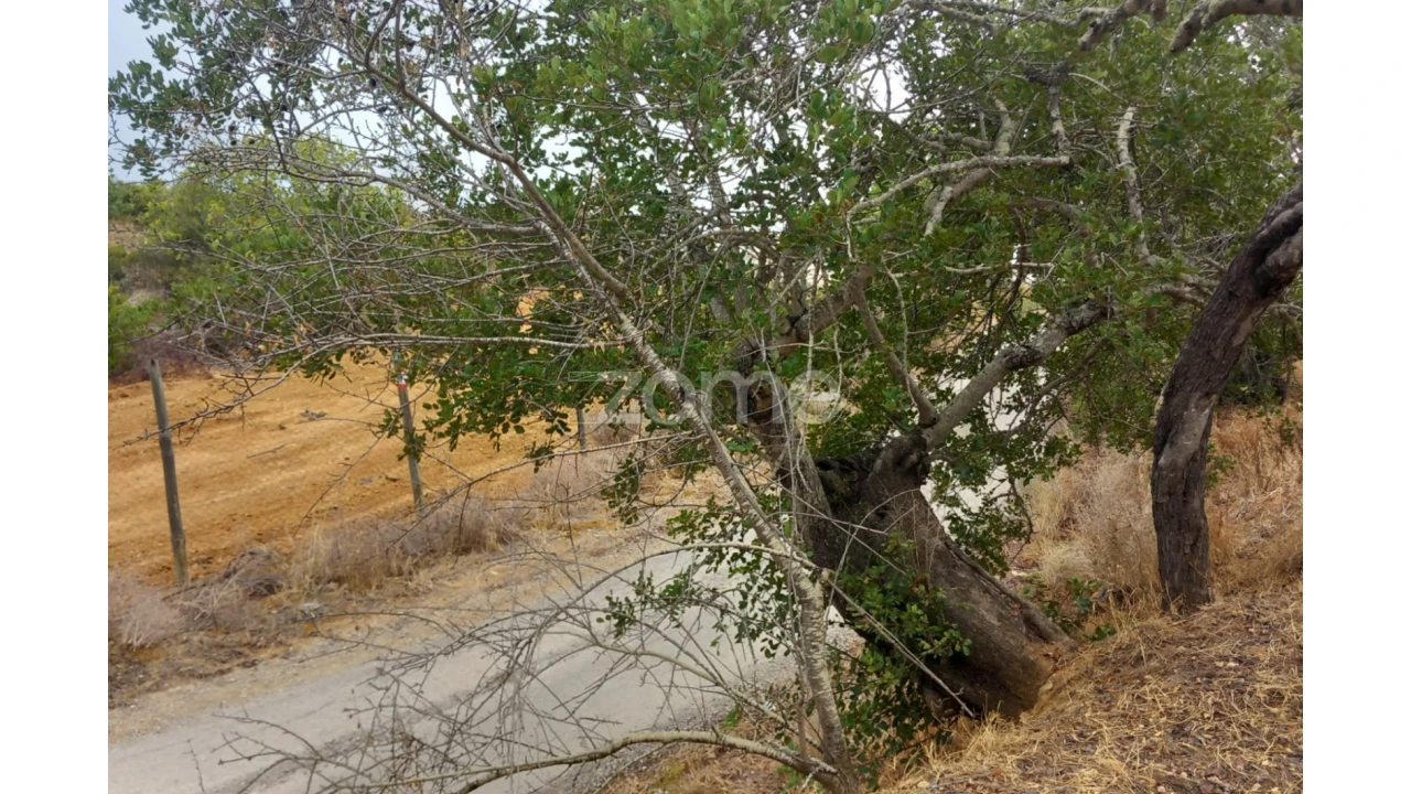 Quinta T5 para Venda em Conceição e Estoi Foto 60