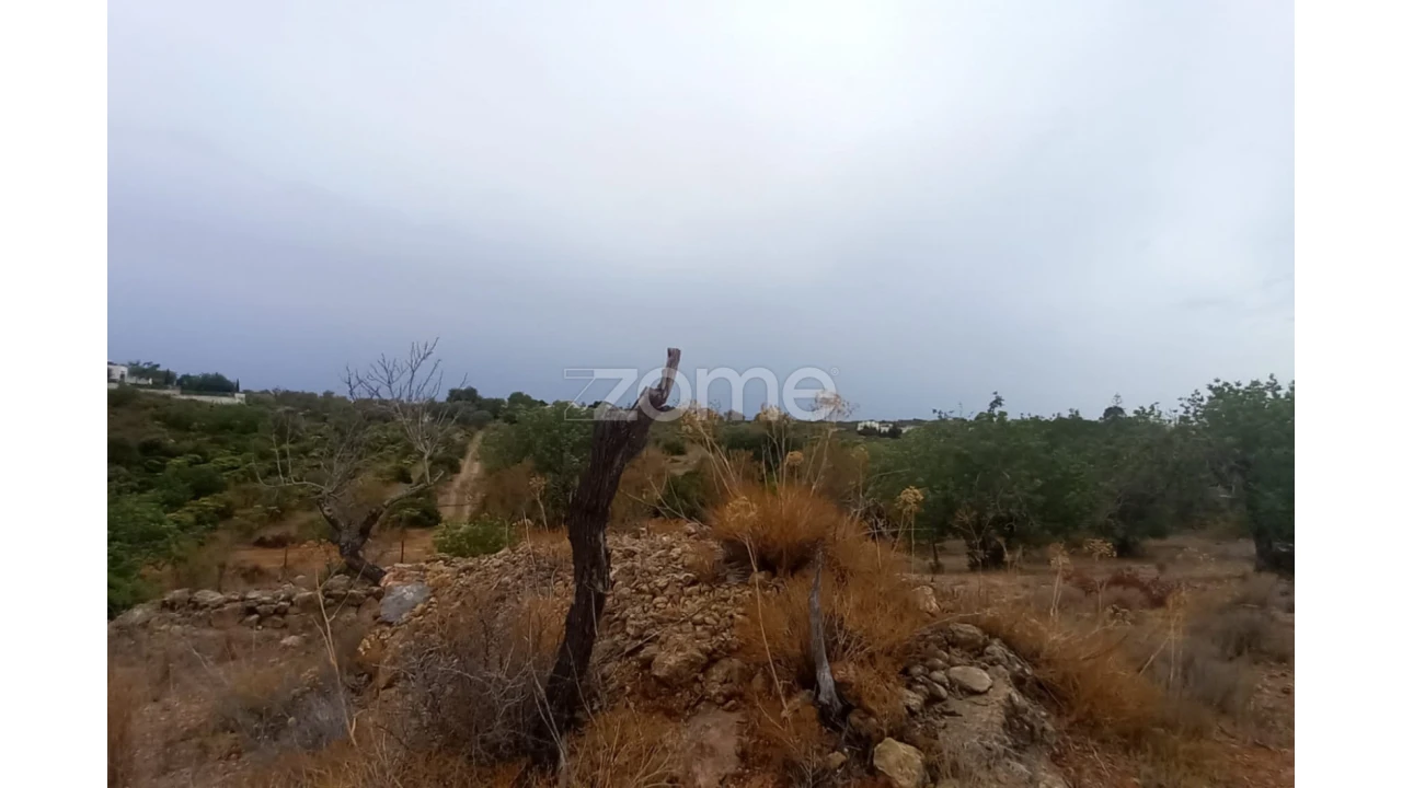 Quinta T5 para Venda em Conceição e Estoi Foto 66