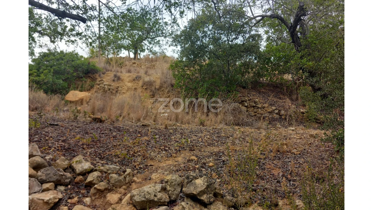 Quinta T5 para Venda em Conceição e Estoi Foto 7