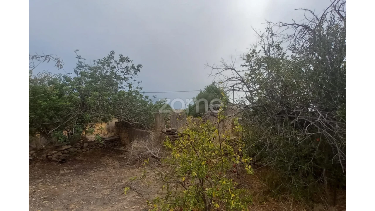 Quinta T5 para Venda em Conceição e Estoi Foto 54