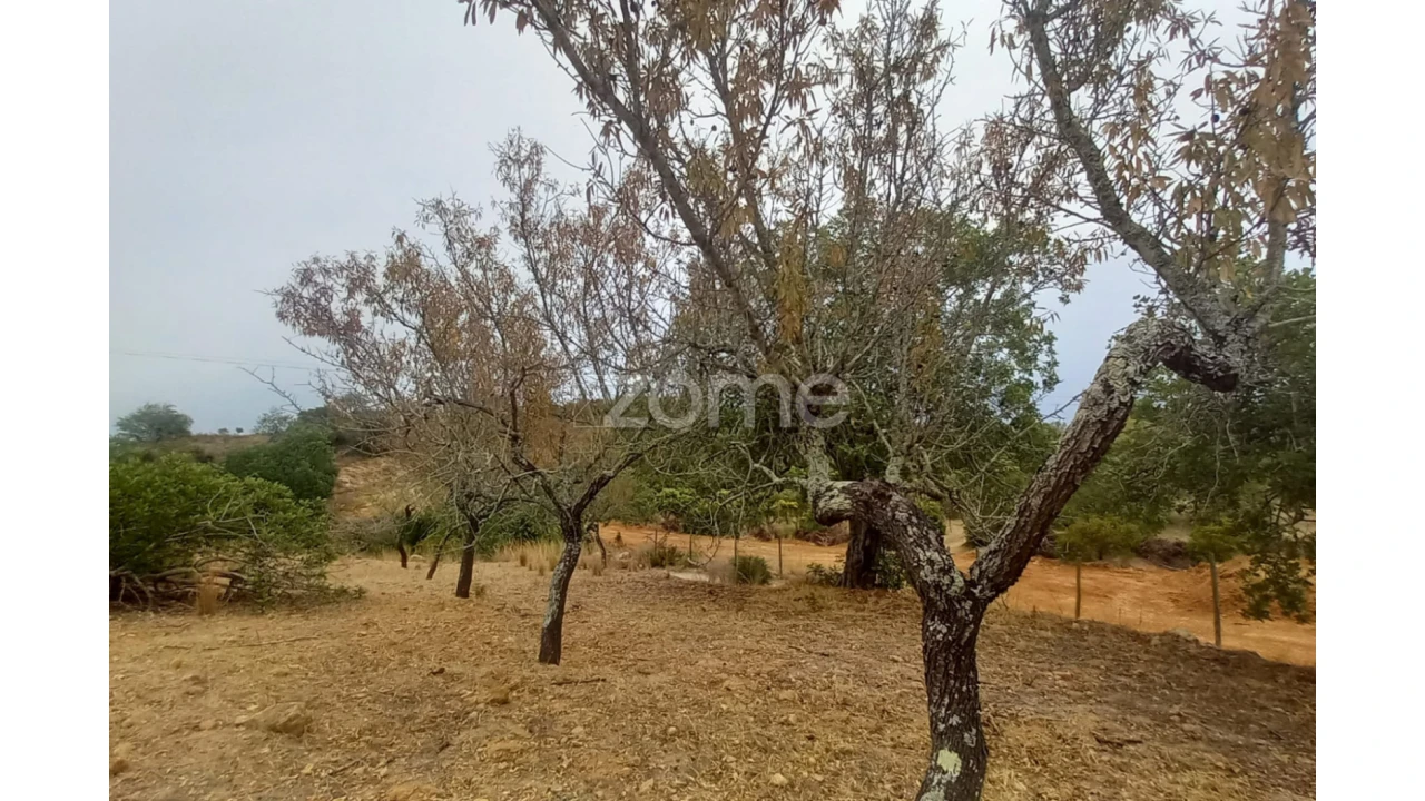 Quinta T5 para Venda em Conceição e Estoi Foto 67