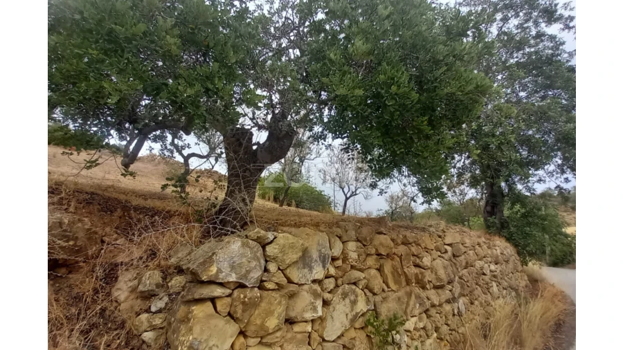 Quinta T5 para Venda em Conceição e Estoi Foto 23