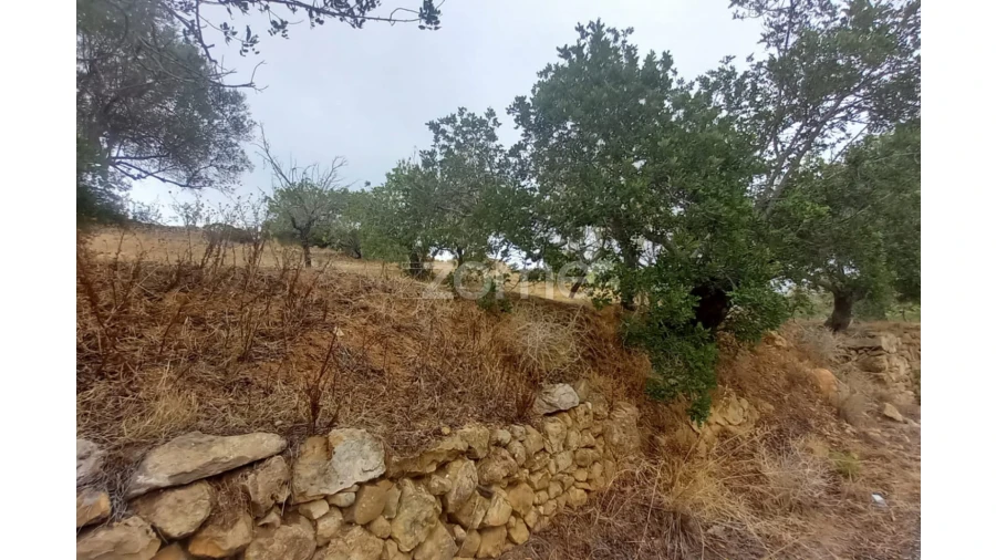 Quinta T5 para Venda em Conceição e Estoi Foto 25