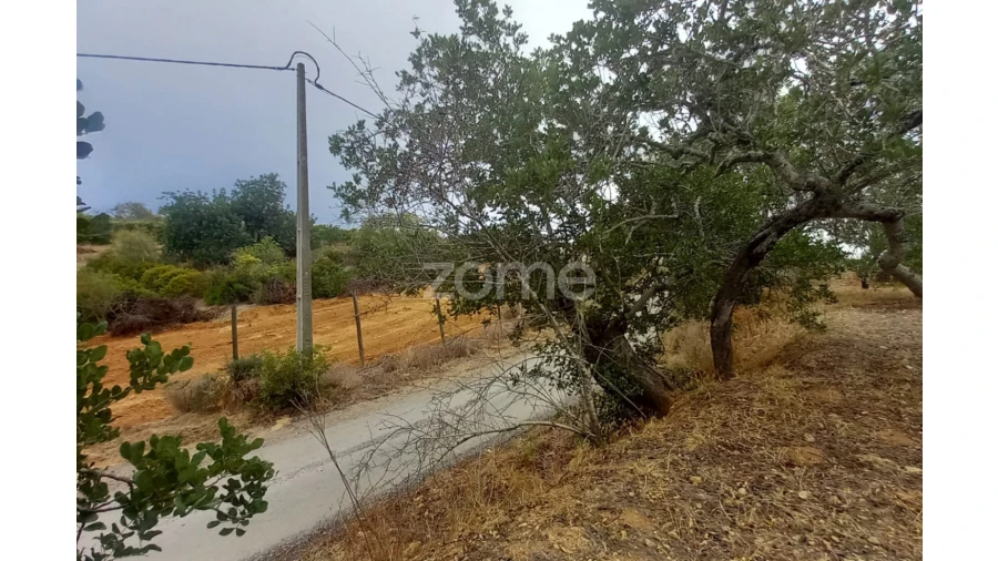 Quinta T5 para Venda em Conceição e Estoi Foto 56