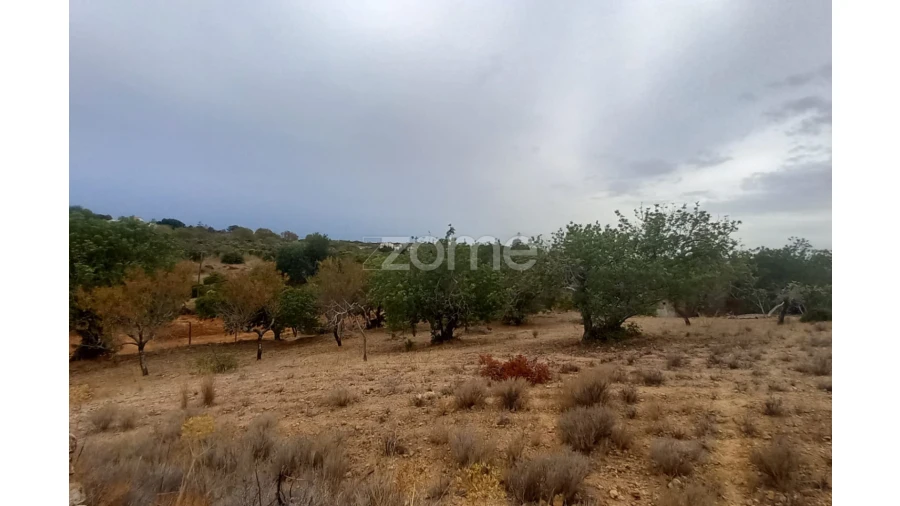 Quinta T5 para Venda em Conceição e Estoi Foto 65
