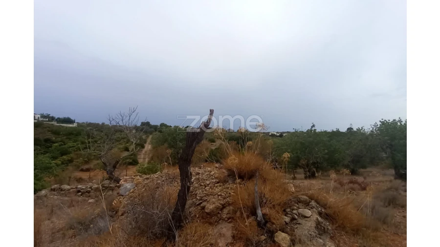 Quinta T5 para Venda em Conceição e Estoi Foto 66