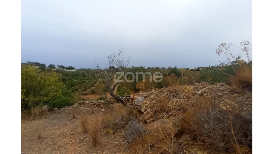 Quinta T5 para Venda em Conceição e Estoi Foto 68