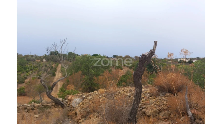Quinta T5 para Venda em Conceição e Estoi Foto 69