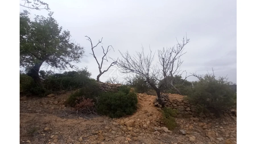 Quinta T5 para Venda em Conceição e Estoi Foto 72