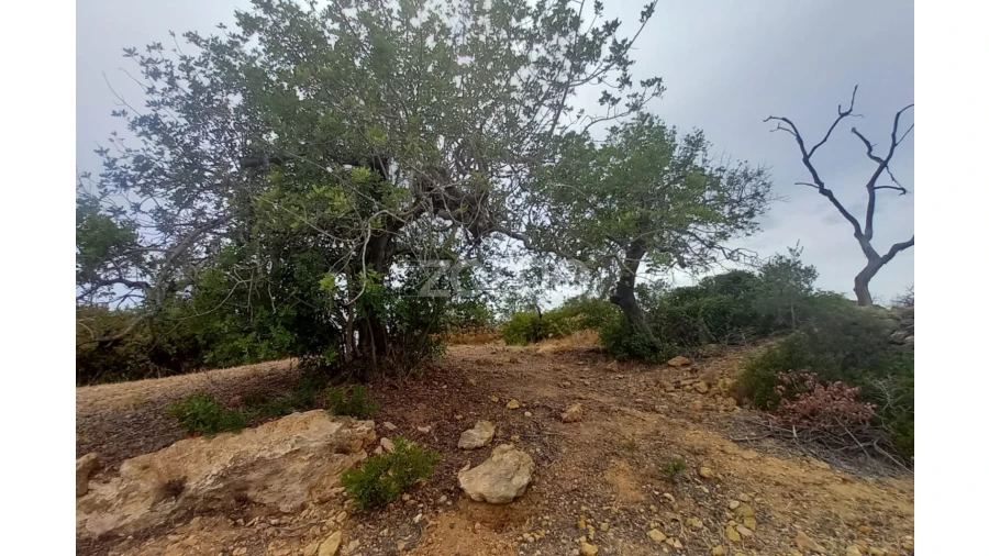 Quinta T5 para Venda em Conceição e Estoi Foto 73