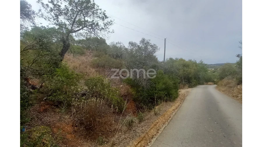 Quinta T5 para Venda em Conceição e Estoi Foto 2