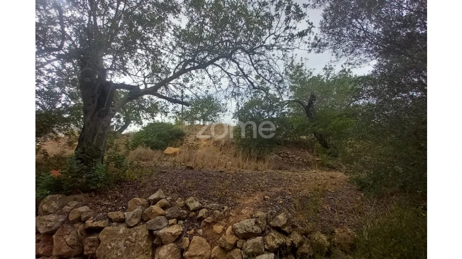 Quinta T5 para Venda em Conceição e Estoi Foto 9