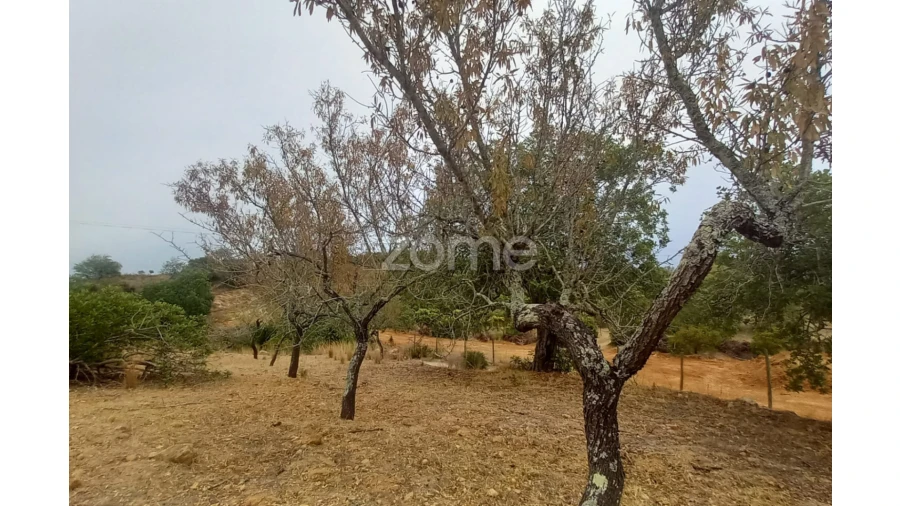 Quinta T5 para Venda em Conceição e Estoi Foto 67