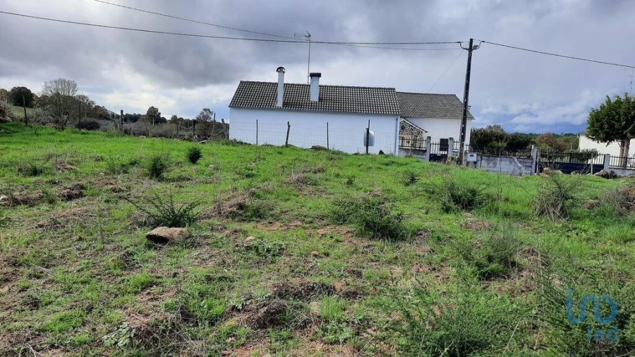 Terreno para Venda em Sabugal e Aldeia de Santo António Foto 5