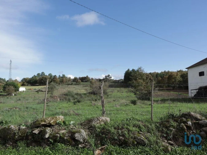 Terreno para Venda em Sabugal e Aldeia de Santo António Foto 11