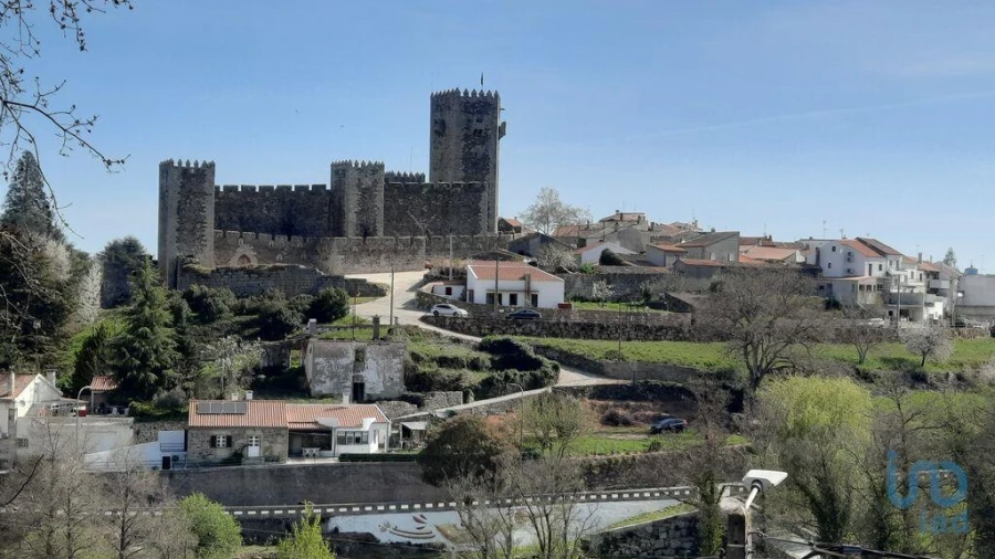 Terreno para Venda em Sabugal e Aldeia de Santo António Foto 12