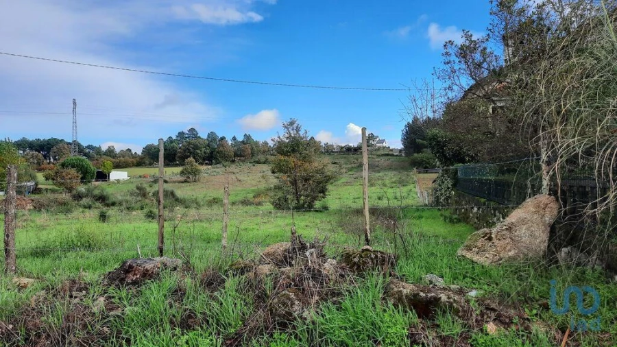 Terreno para Venda em Sabugal e Aldeia de Santo António Foto 10